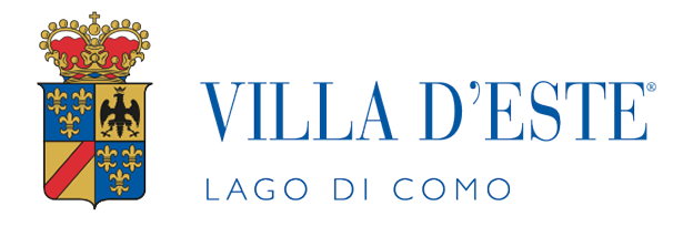 Vde logo